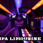 Tampa Limousine Bus