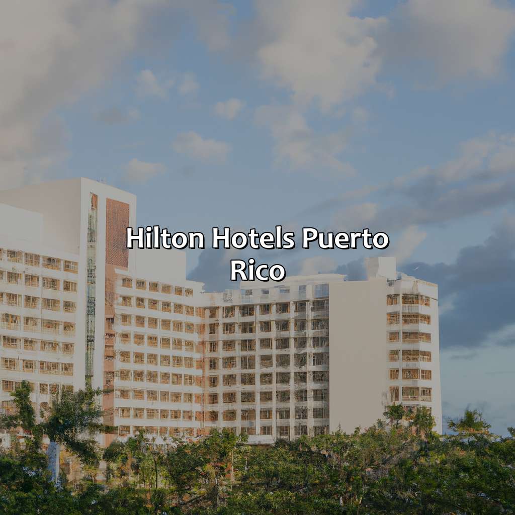 Hilton Hotels Puerto Rico – Krug