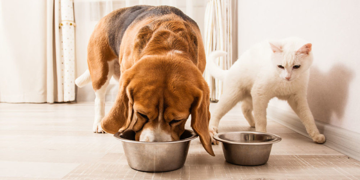 Brazil Pet Food Market Size, Share, Demand, Growth and Forecast 2025-2033