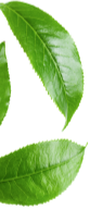 Highest Peak Nutrition - Best Natural Supplements Online