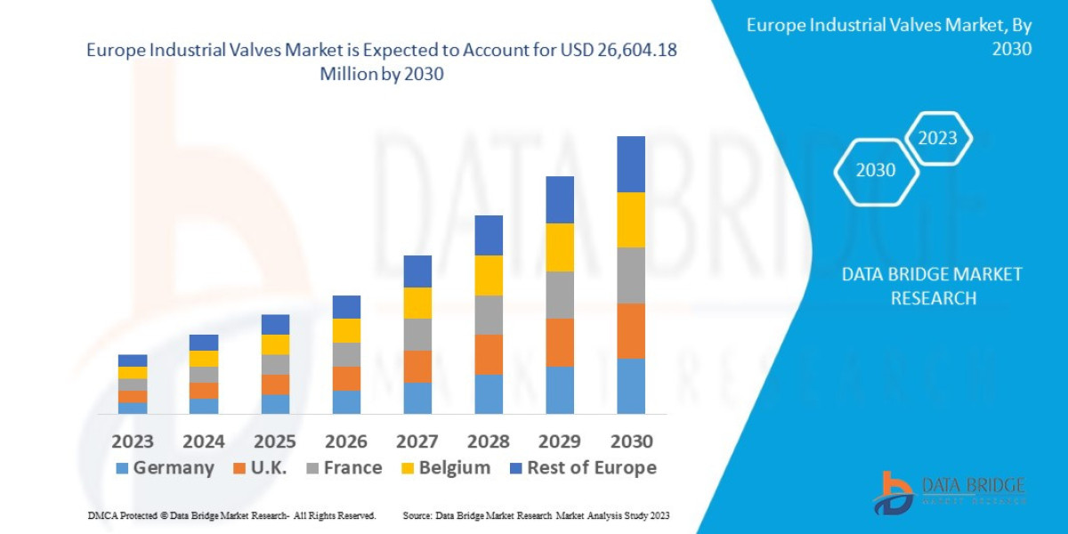 Europe Industrial Valves Market Size | Trend and Forecast 2030