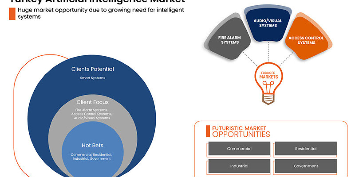 Turkey Artificial Intelligence Market Size, Share, Growth And Forecast 2029