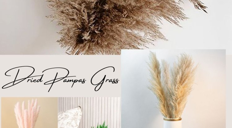 Dried Grass Décor: Elevate Your Space with Pampas & More! - Handyclassified