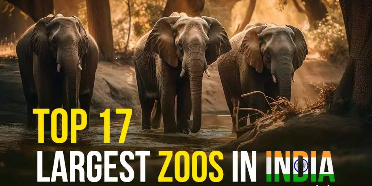 Best Zoos in India for a Family-Friendly Wildlife Adventure