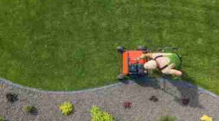 Best Turf Installation in Sydney for a Fresh and Green Lawn - Bip Detroit