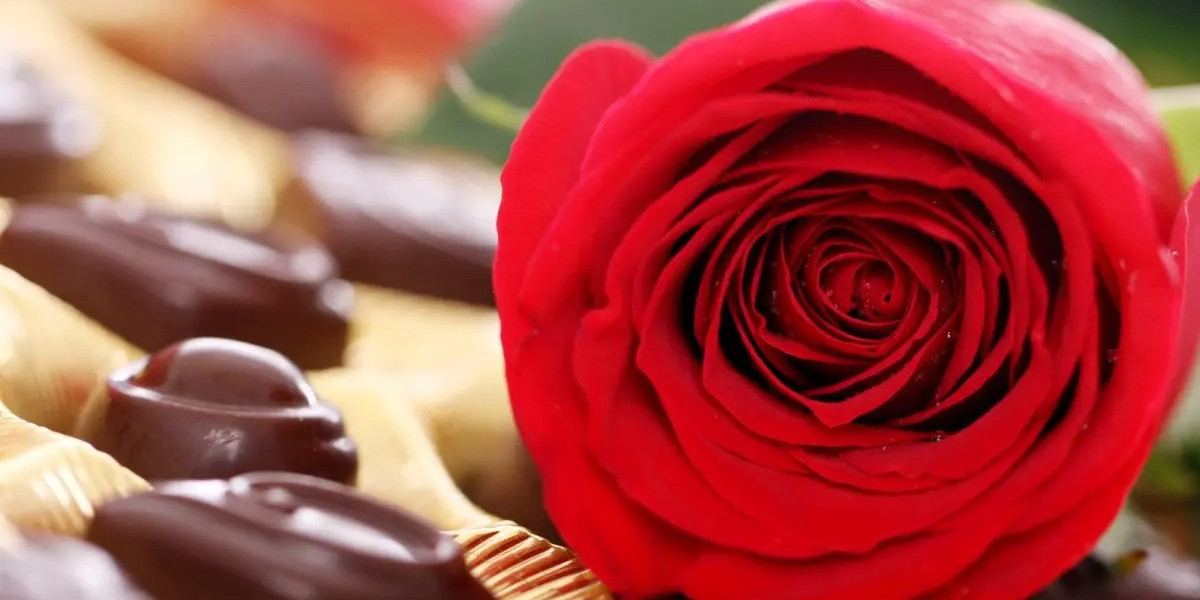 Ramos de Rosas España