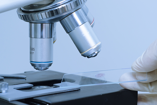 BMLT Course in Dehradun | BSc Medical Laboratory Technology