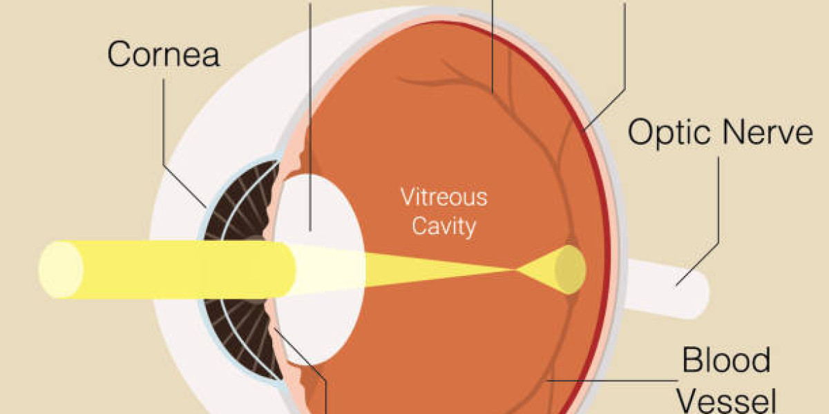 Anterior Uveitis Treatment Market Expands with Advancements in Biologics & Long-Acting Ocular Therapies