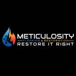 Meticulosity Clean Restoration
