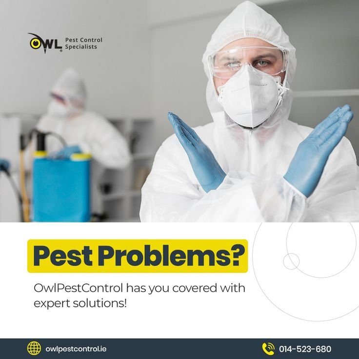DIY Pest Control Vs. Professional Pest Control: Which is Better?