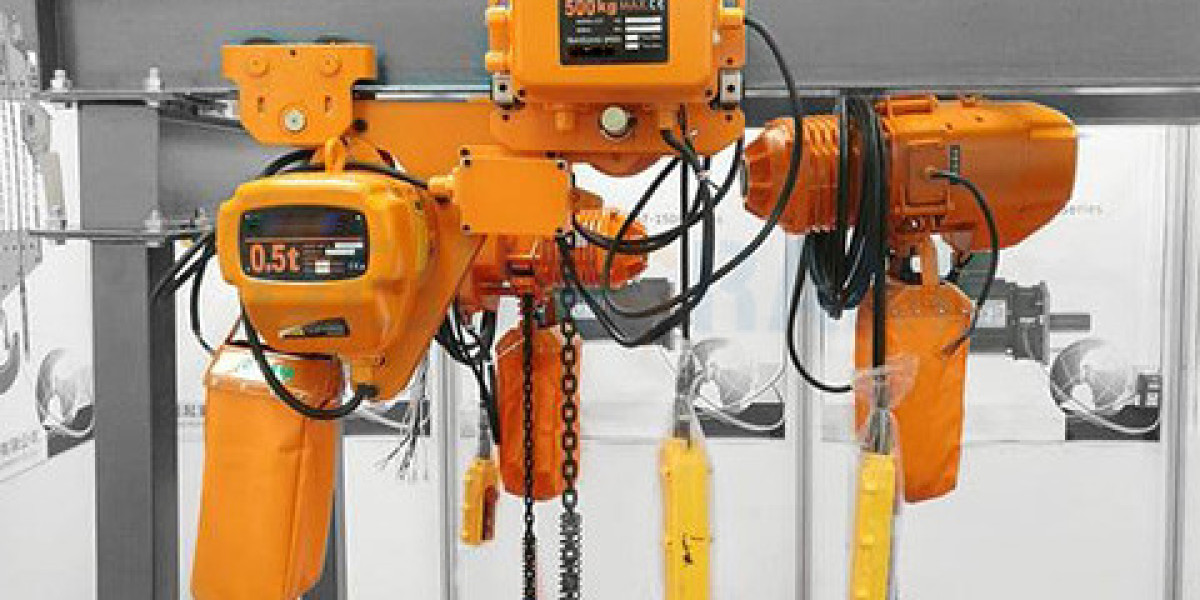 Electric Chain Hoist For Sale