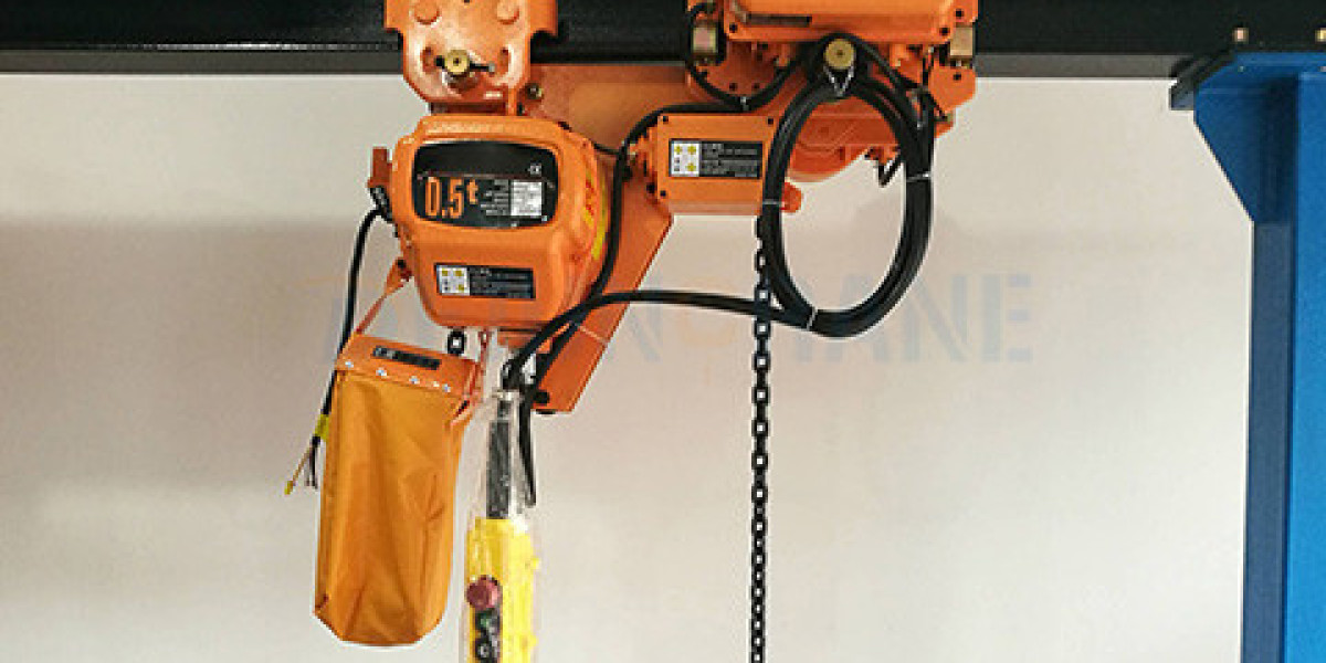 Electric Chain Hoist To Egypt