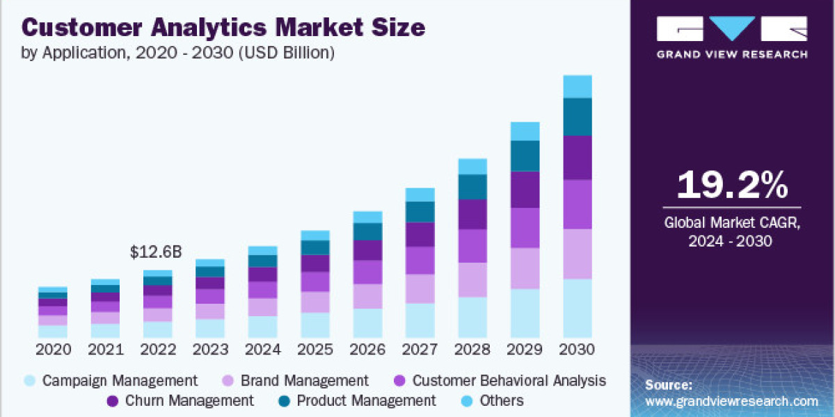 Customer Analytics Market 2030: The Rise of Real-Time Analytics in Customer Experience