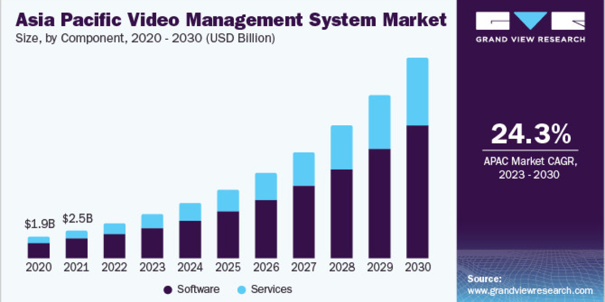 Video Management System Market 2030: The Impact of Smart Cities