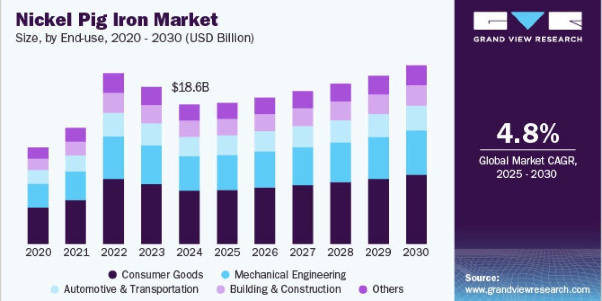 Nickel Pig Iron Market 2030: Challenges and Opportunities in the Global Landscape