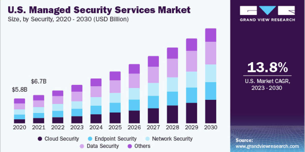 Managed Security Services Market 2030: Regional Insights and Market Dynamics