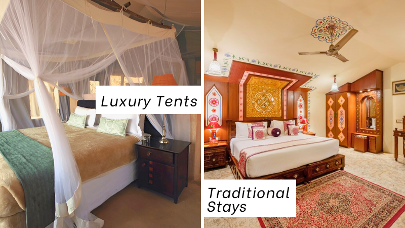 Luxury Tents vs. Traditional Stays: What’s the Real Experience? - AtoAllinks