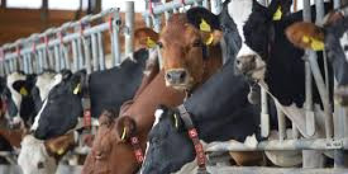 Farm Wearables Market Charges to USD 7.8 Bn Combat Tech Cuts Livestock Losses by 7.8 Bn