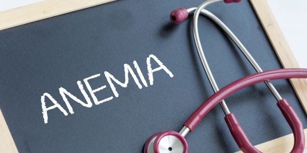 Iron Deficiency Anemia: Causes, Symptoms, and Treatment Guide by the Best Dietitian for Weight Loss in Delhi
