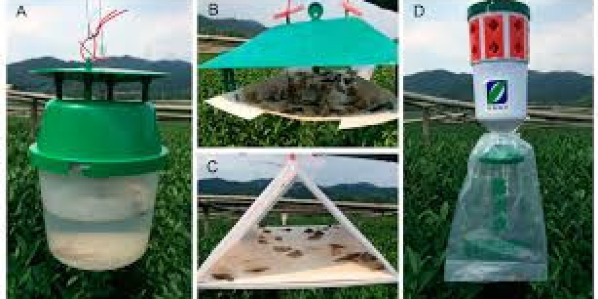 Global IPM Sex Pheromones Market to Triple by 2031 as Agriculture Seeks Sustainable Pest Solutions