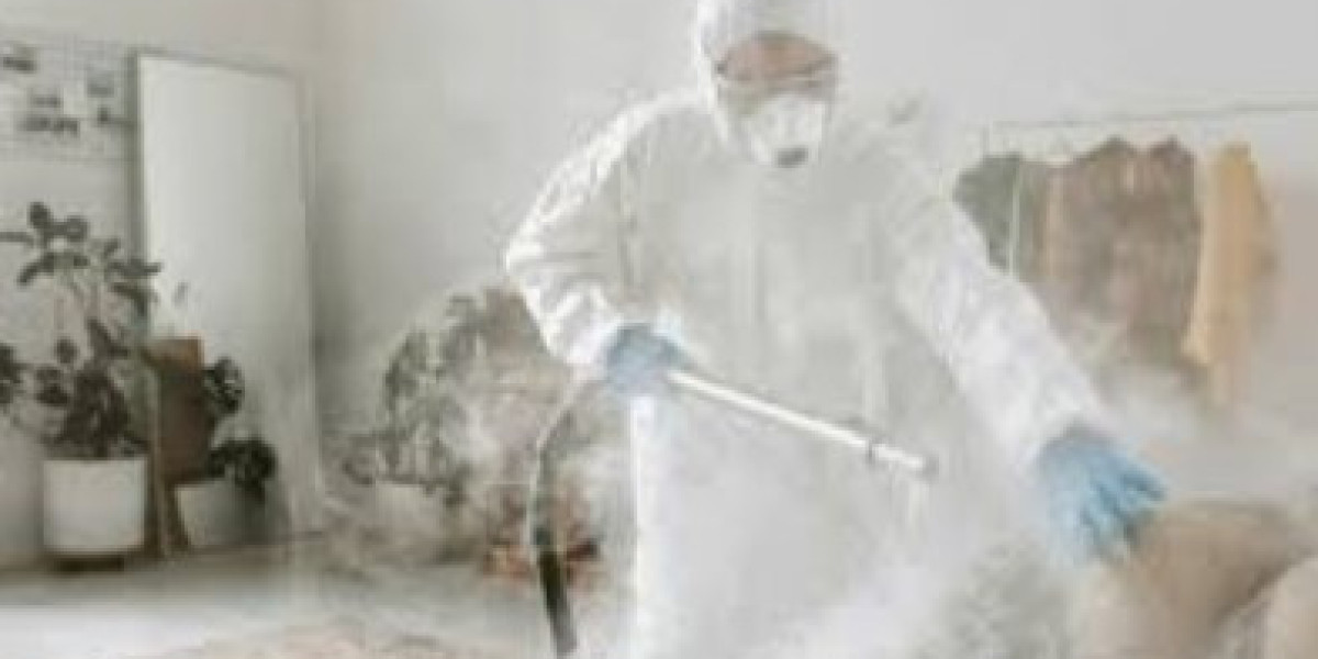 Biohazard Cleaners: Expert Odour Elimination and Office Clearance Services in the UK