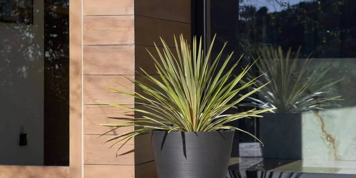 Australia's Best Artificial Plants For Effortless Beauty