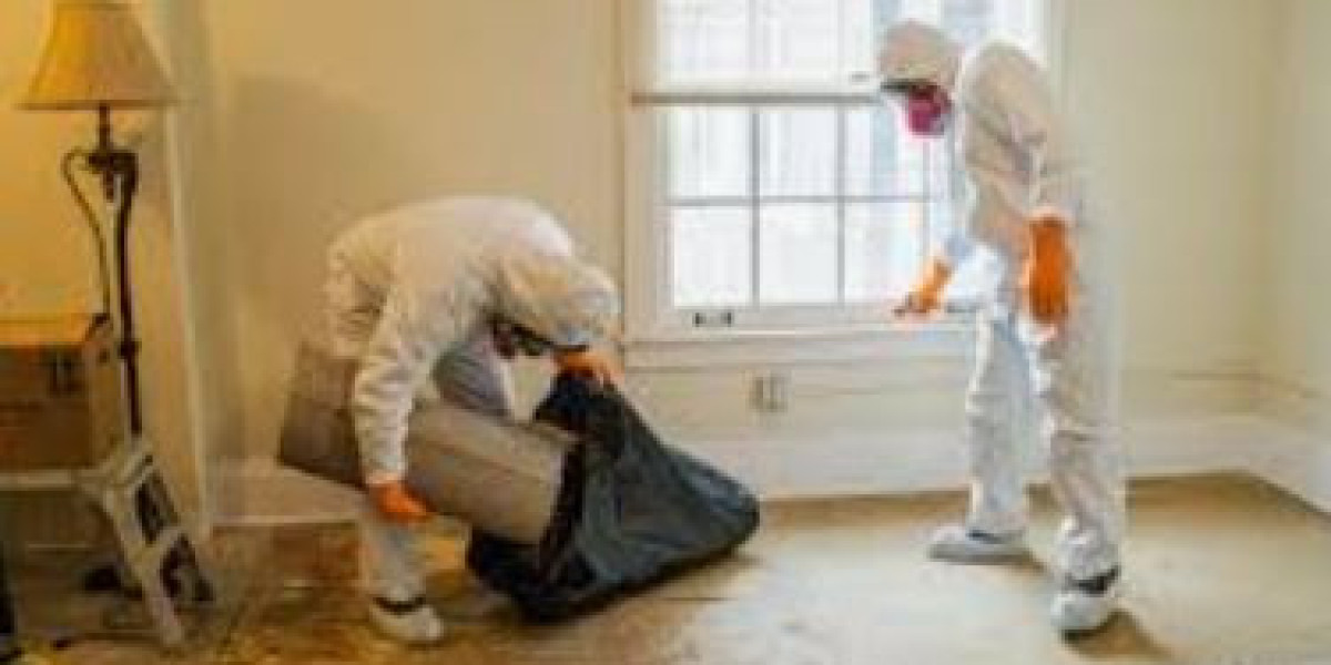 Biohazard Cleaners: Your Trusted Partner for Biohazard & Bird Poop Cleaning Services in the UK