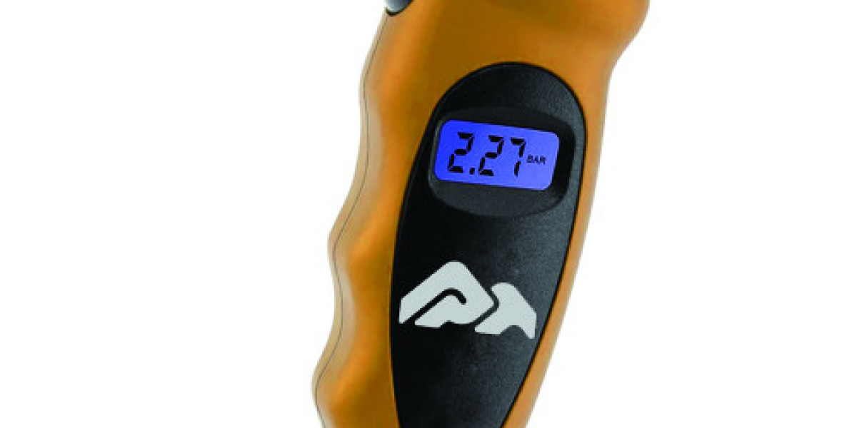 The Importance of Regular Tire Pressure Check Using a Digital Tire Pressure Gauge