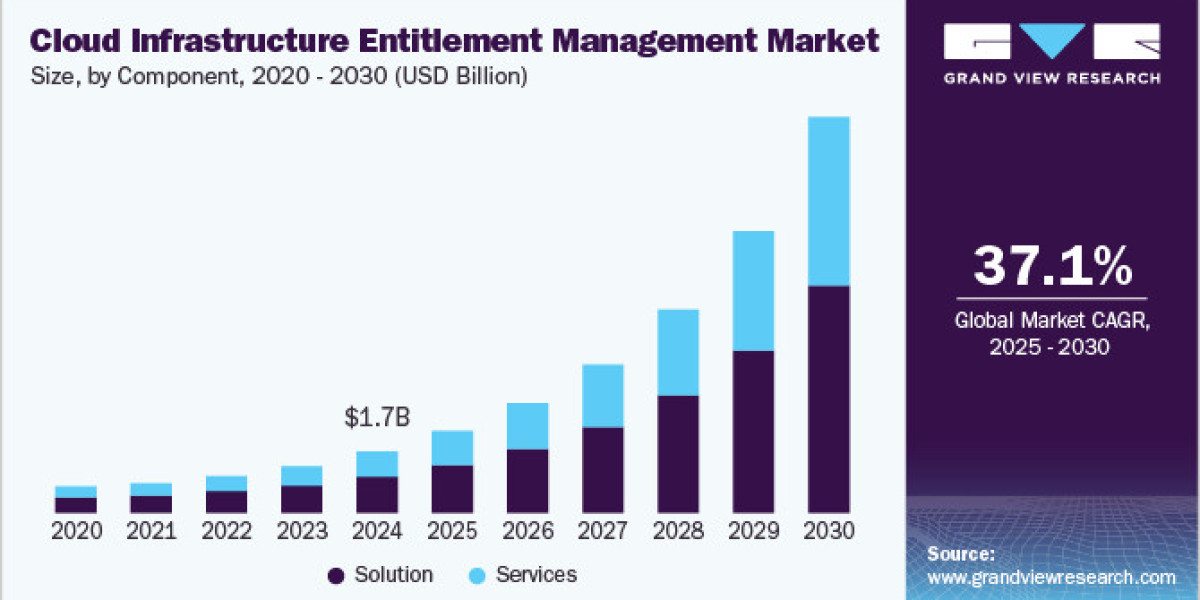Cloud Infrastructure Entitlement Management Market 2030: From $1.68 Billion to a Secure Cloud Future