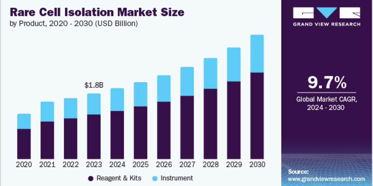 Rare Cell Isolation Market 2030: Key Players and Competitive Landscape