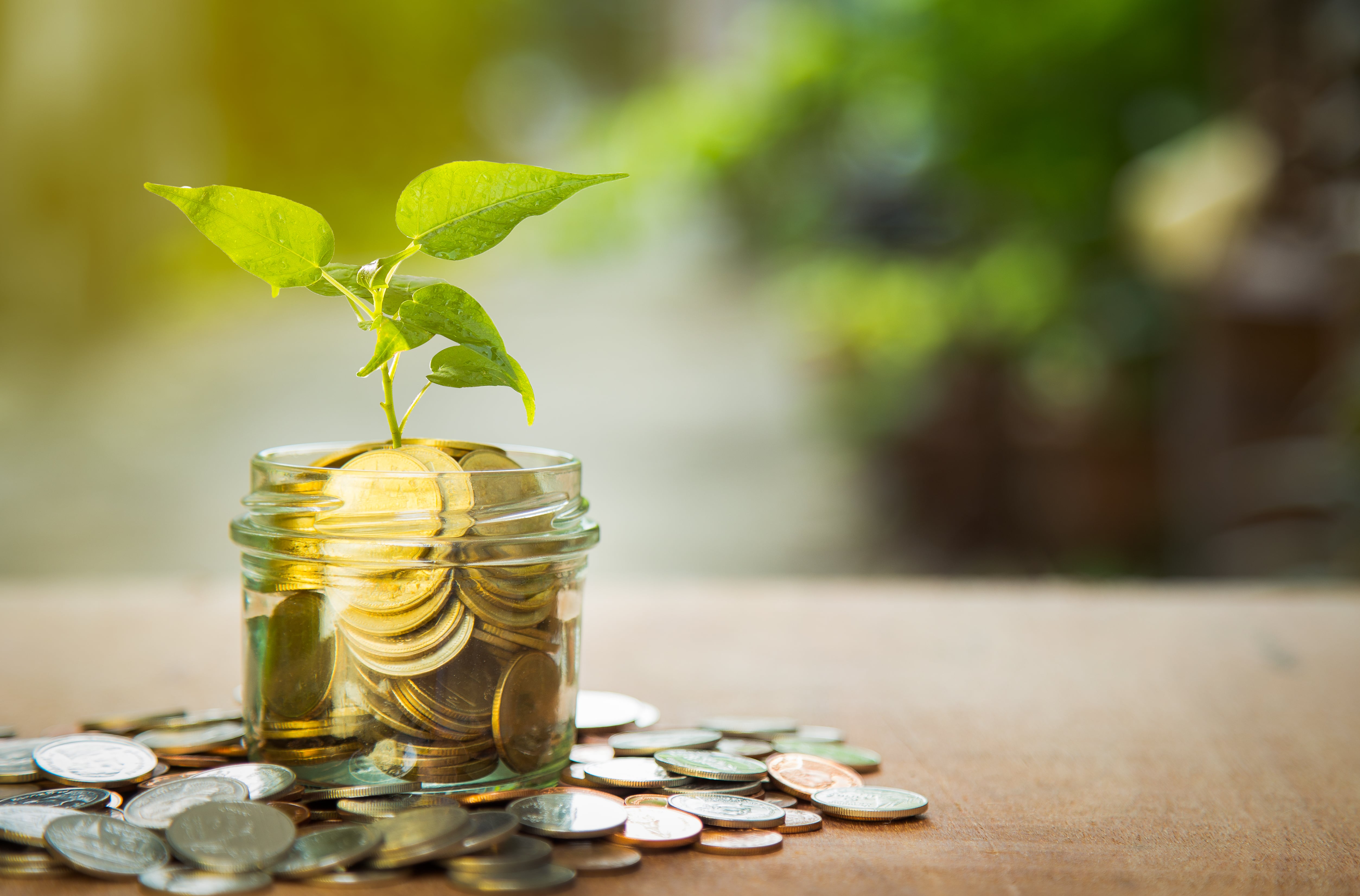 WHAT IS DEBT MANAGEMENT? | MNS Credit Management Group