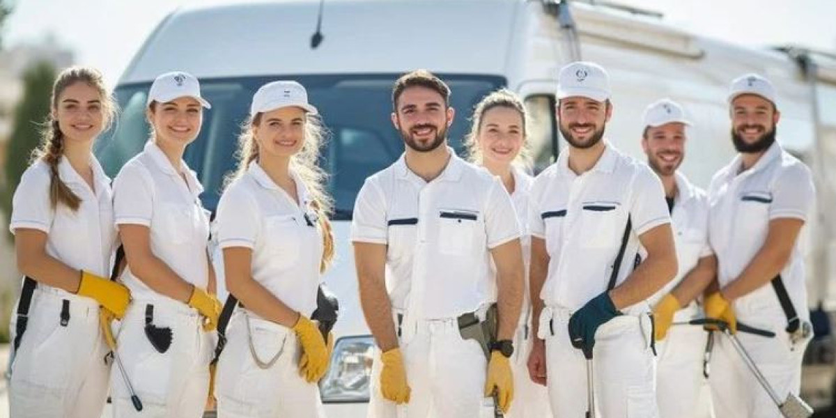Biohazard Cleaners: Your Trusted Partner for Animal Fouling and Antiviral Sanitisation Services in t