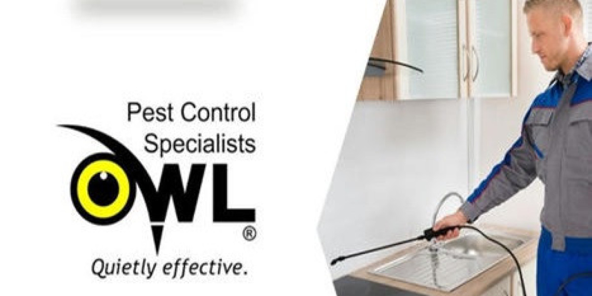 Pest Control Services Dublin That Gets Results Fast
