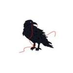 blackbird knitting