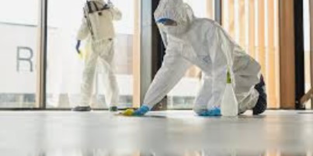 Pro Trauma Cleaners: Leading the Way in Trauma Cleaning Services Across the UK