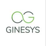 Ginesys One