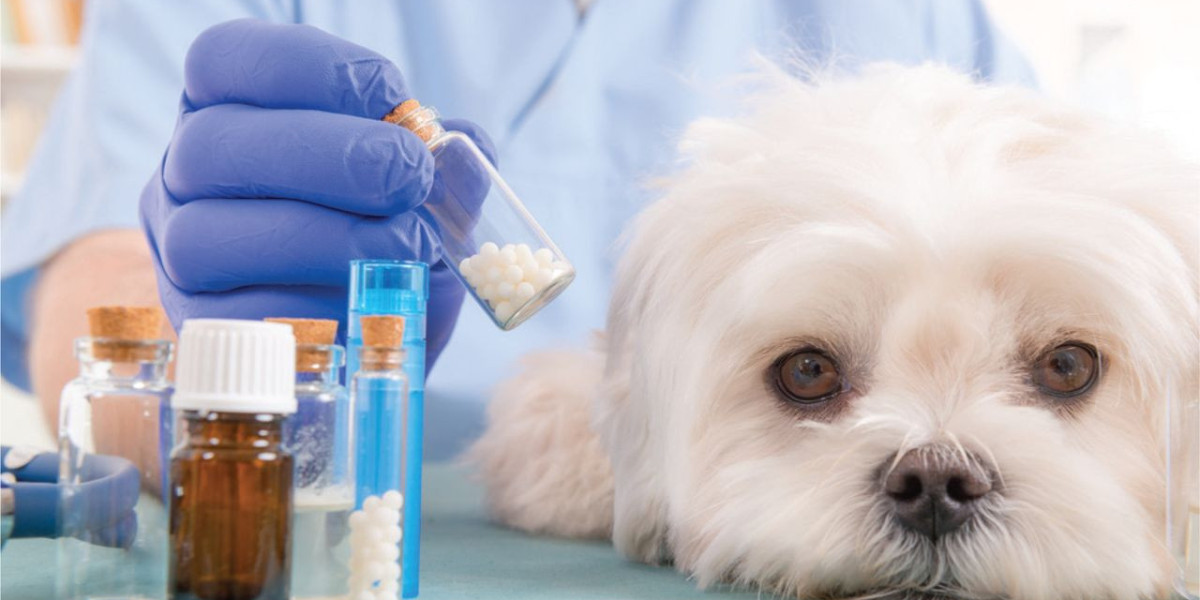 Companion Animal Drugs Market to Reach USD 31.26 Billion by 2035 Amid Rising Pet Healthcare Demand