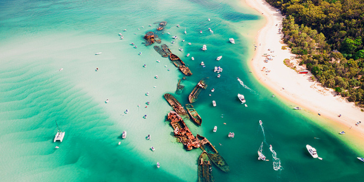 Relax, Explore, and Enjoy the Magic of Moreton Bay Cruises