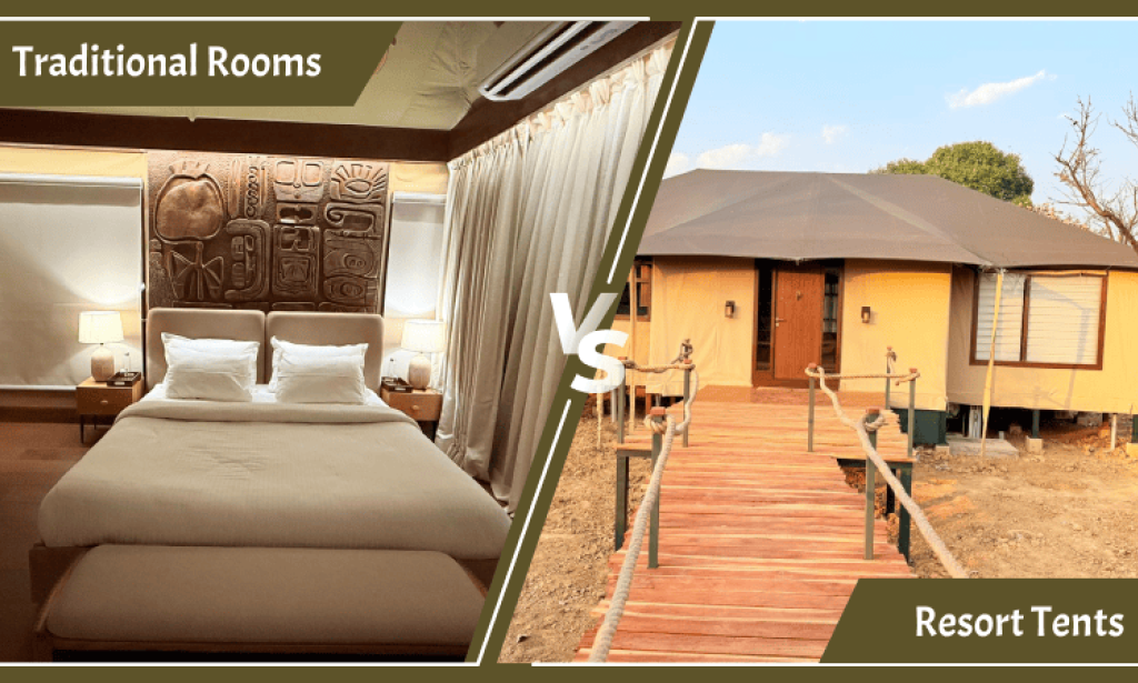 Resort Tents vs Traditional Rooms: What Guests Prefer Today