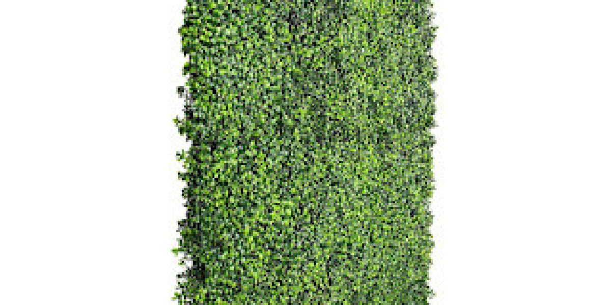 Bring Style and Elegance to Your Space with a Premium Boxwood Hedge Wall