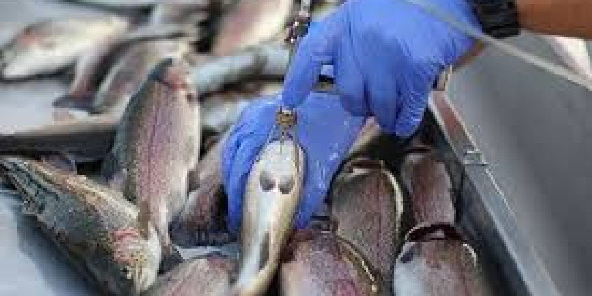 Comprehensive Research Methodology for ClearView Market Insights' Aquaculture Vaccines Market Report