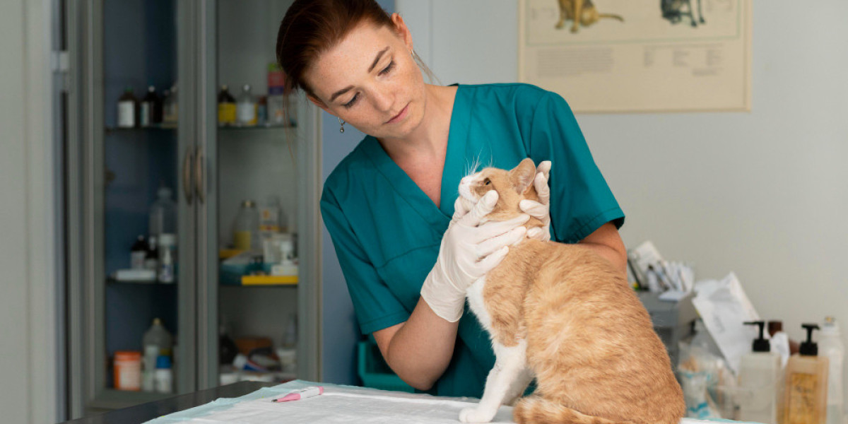 Comprehensive Pet Care at a Veterinary Clinic in Qatar