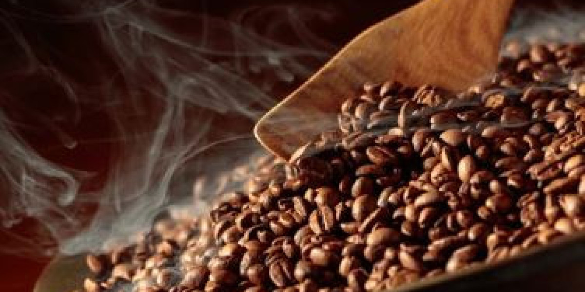 Roasted Coffee Market Insights: Trends Fueling Demand