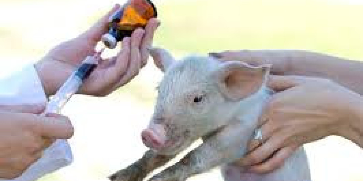 Comprehensive Research Methodology for ClearView Market Insights' Swine Vaccines Market Report