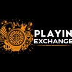 Playinexch 247