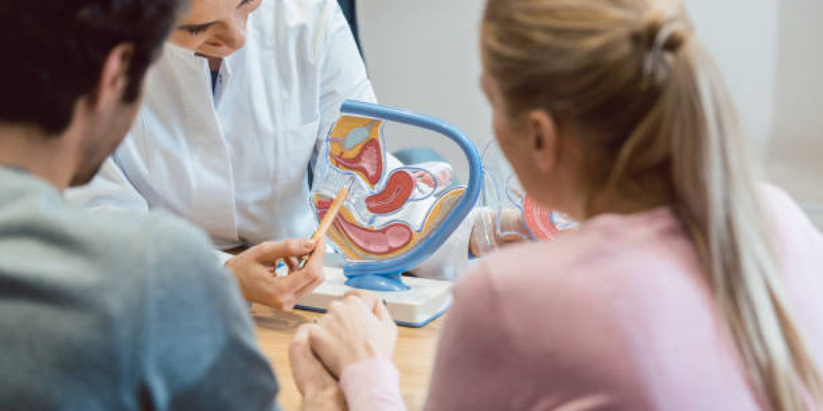 Rising Precision Medicine Adoption Drives Growth in the Middle East and Africa Companion Diagnostics Market