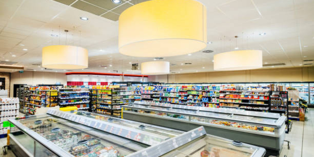 Germany Frozen Food Market to Reach USD 18.9 Billion by 2031 on Back of Health Trends and Discount Retail Strength