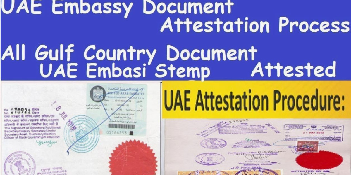 Understanding Degree Certificate Attestation for UAE