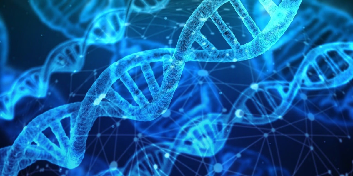 Top Tips for Succeeding in AP Biology Classes