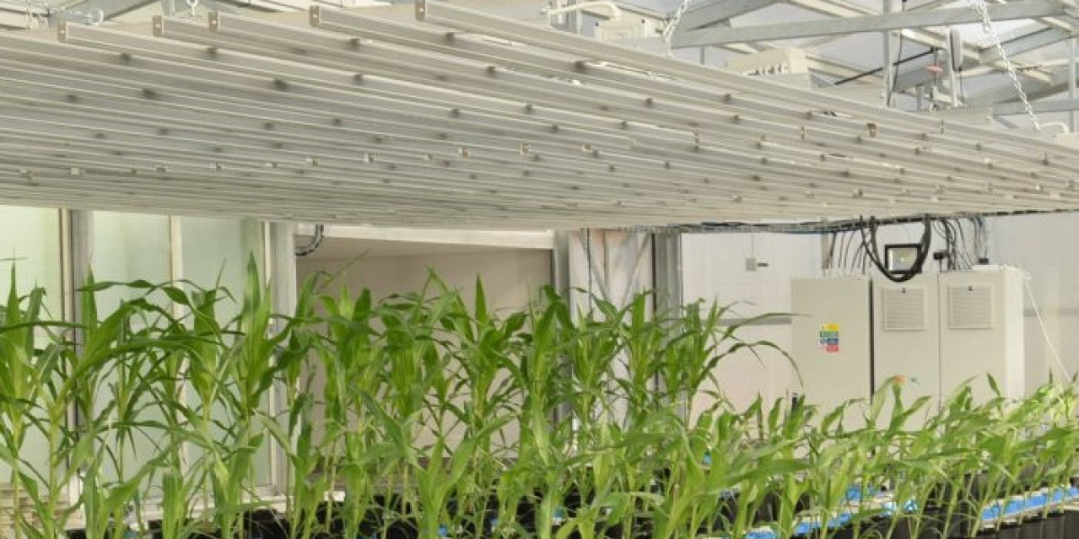 Plant Phenotyping Market Size, Business Growth and Driver by 2035